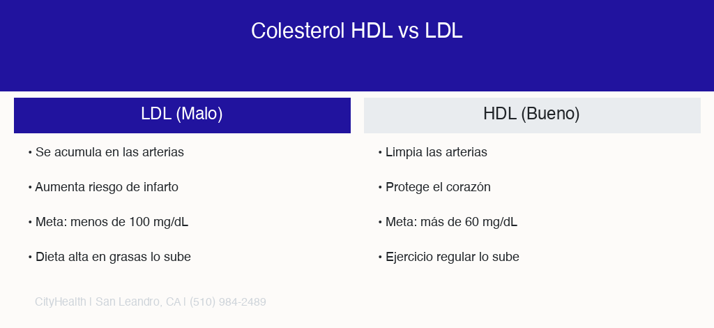Comparación entre colesterol HDL bueno y LDL malo