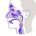 Sinusitis Síntomas Sin Mocos: Causas y Cuándo Buscar Atención